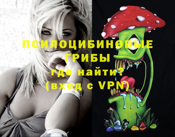 спиды Волосово